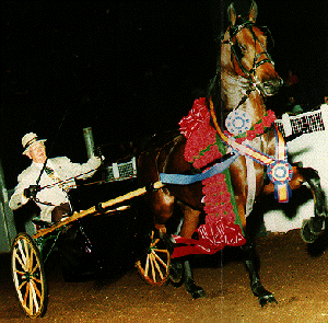 CAL NATIONAL DE PARADA